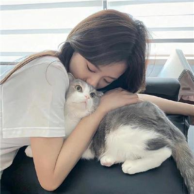 画舫情歌